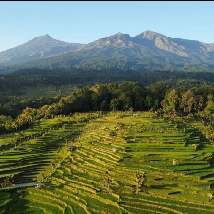 Rinjani Trekk 4D3N – Sembalun Rinjani Gateway Homestay View