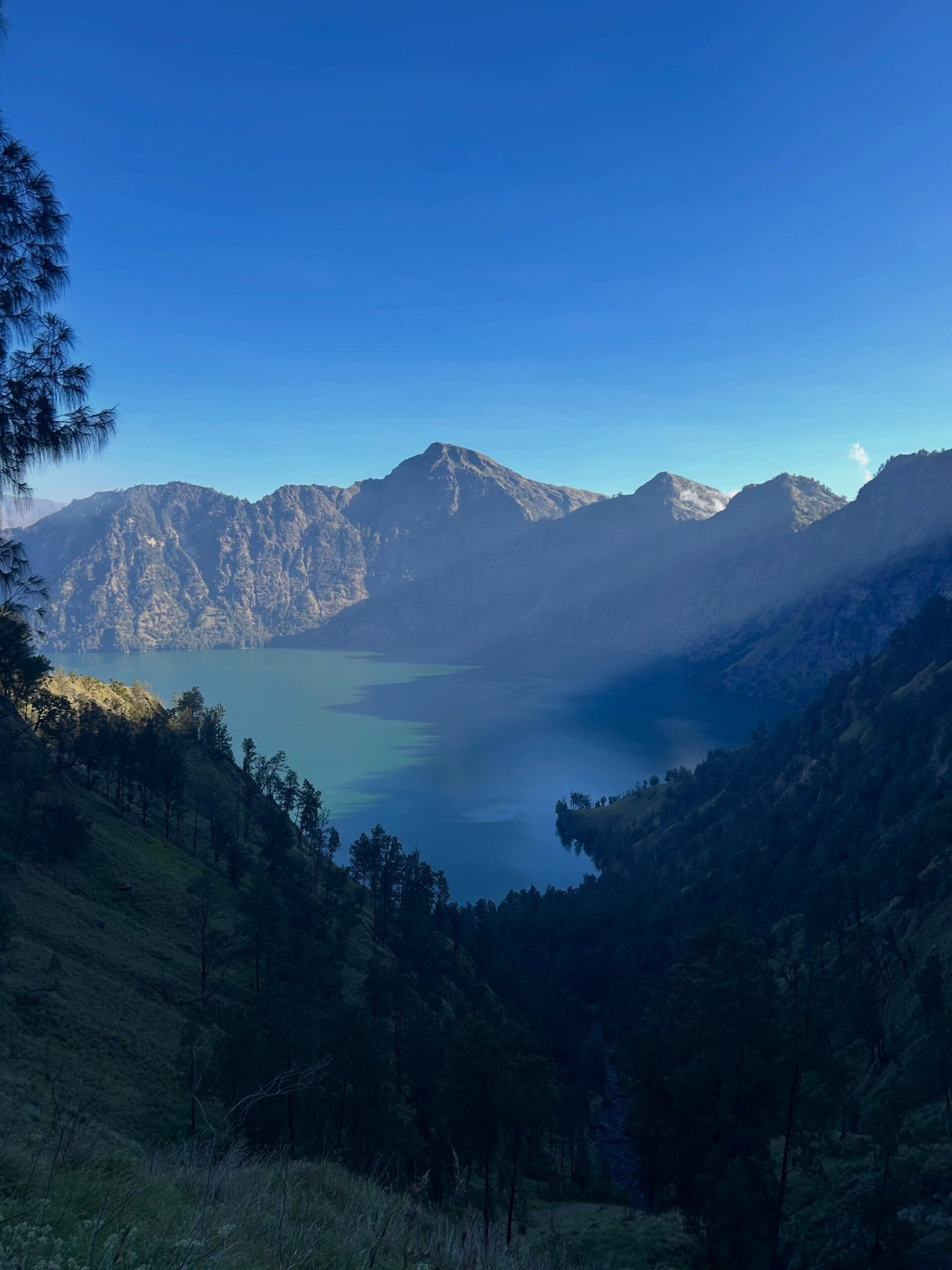 Rinjani Trekk 4D3N – Sembalun Torean Trail Scene 2