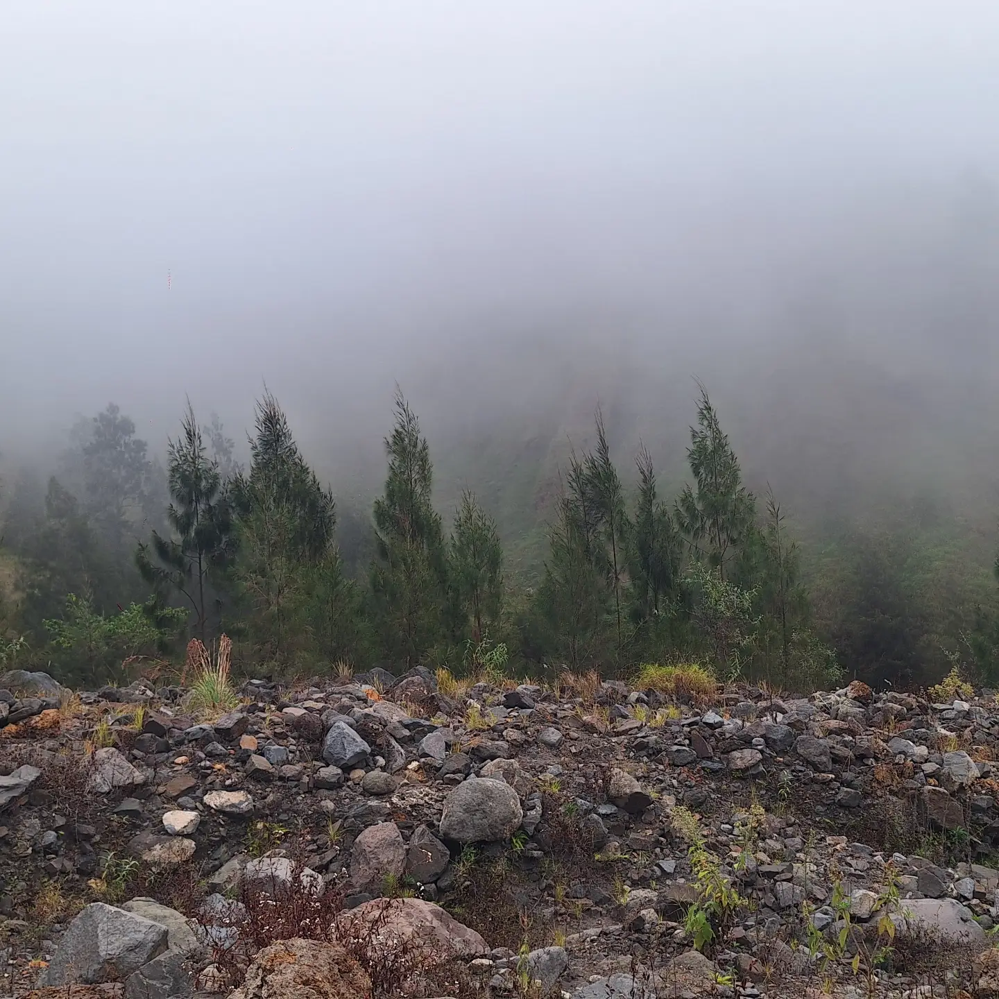 Rinjani Trekk 4D3N – Sembalun Torean Canyon Ridge 3