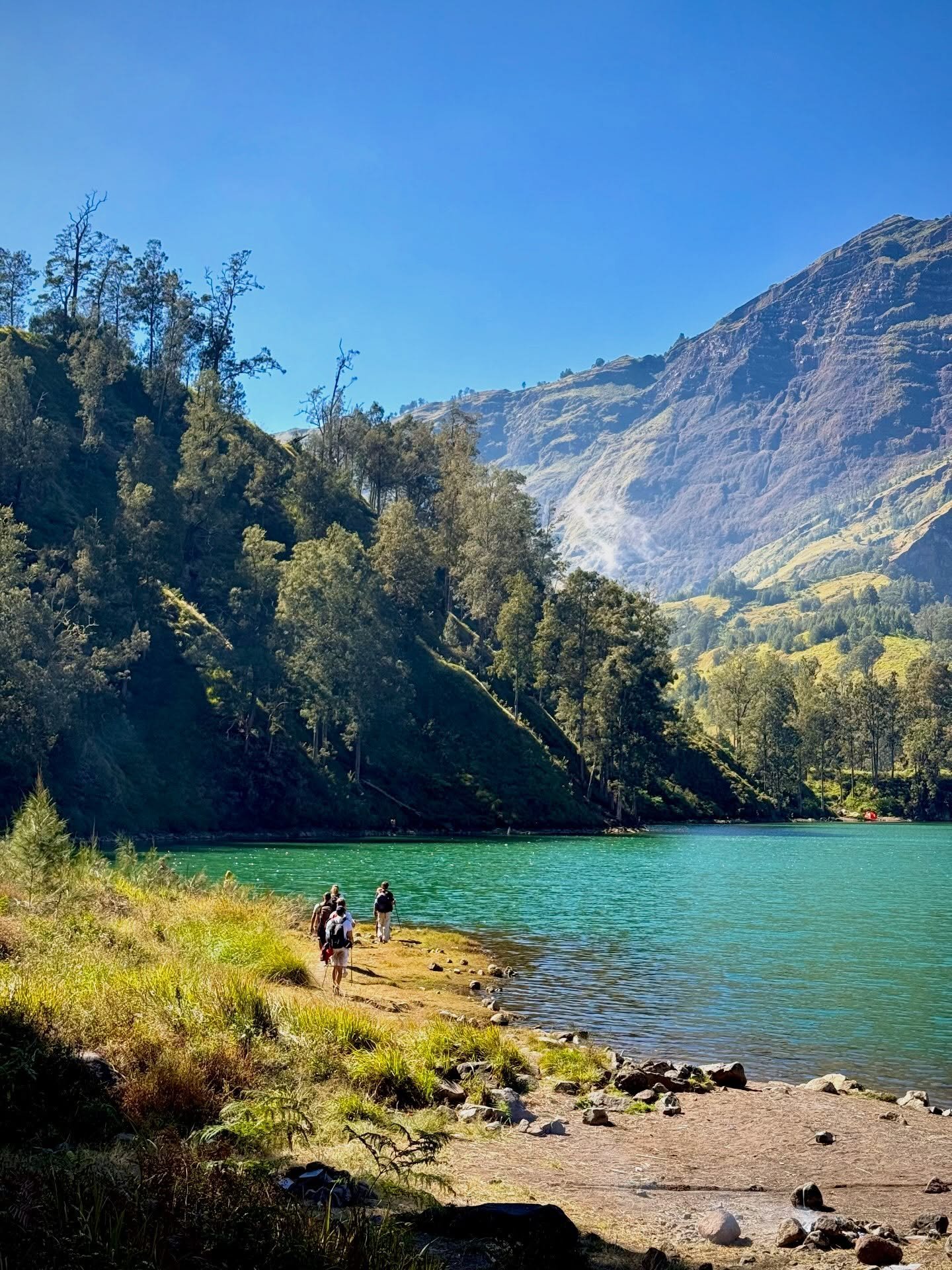 Rinjani Trekk 4D3N – Sembalun Majestic vertical green cliff walls of the Torean Canyon trail with trekkers