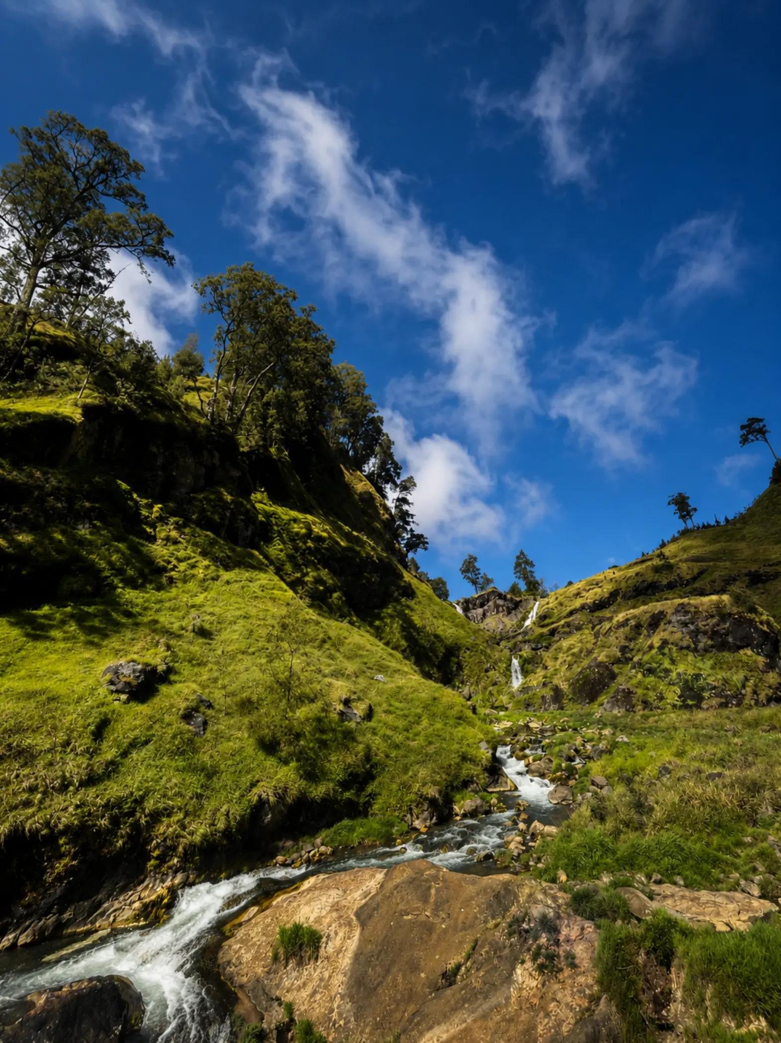 Rinjani Trekk 4D3N – Sembalun Torean Trail Campsite 4