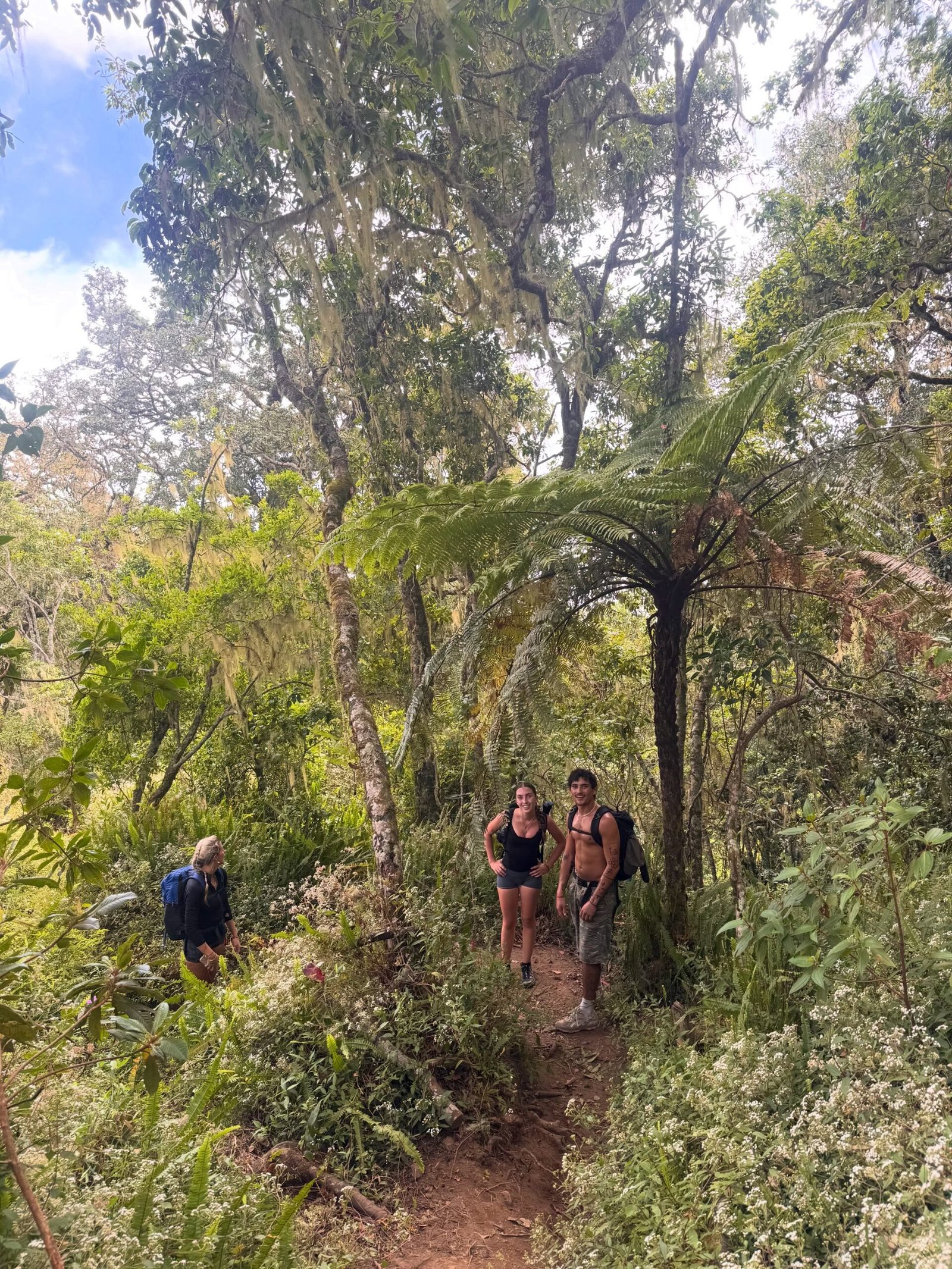 Galley Sembalun Trail
