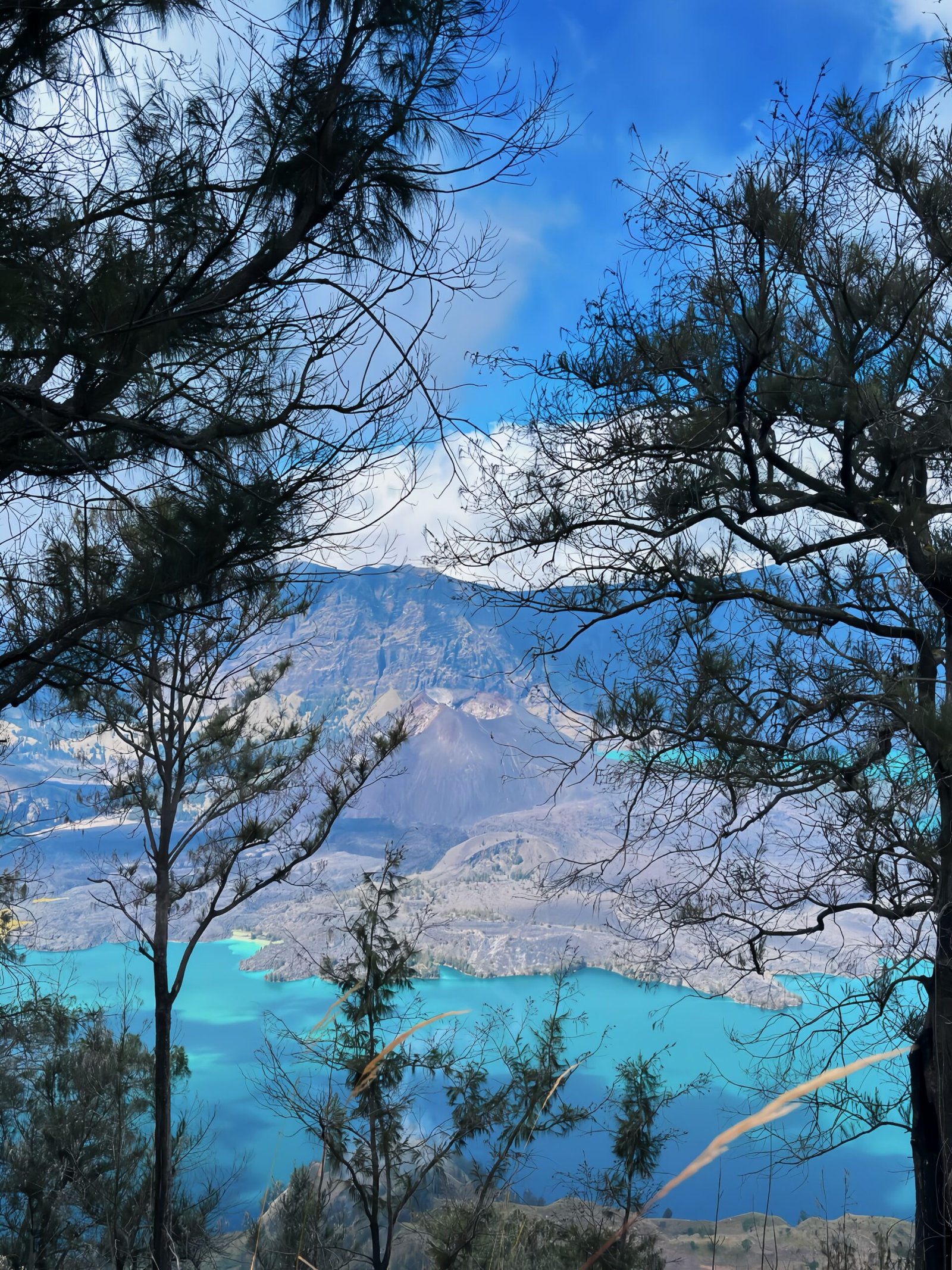 Galley Senaru Trail