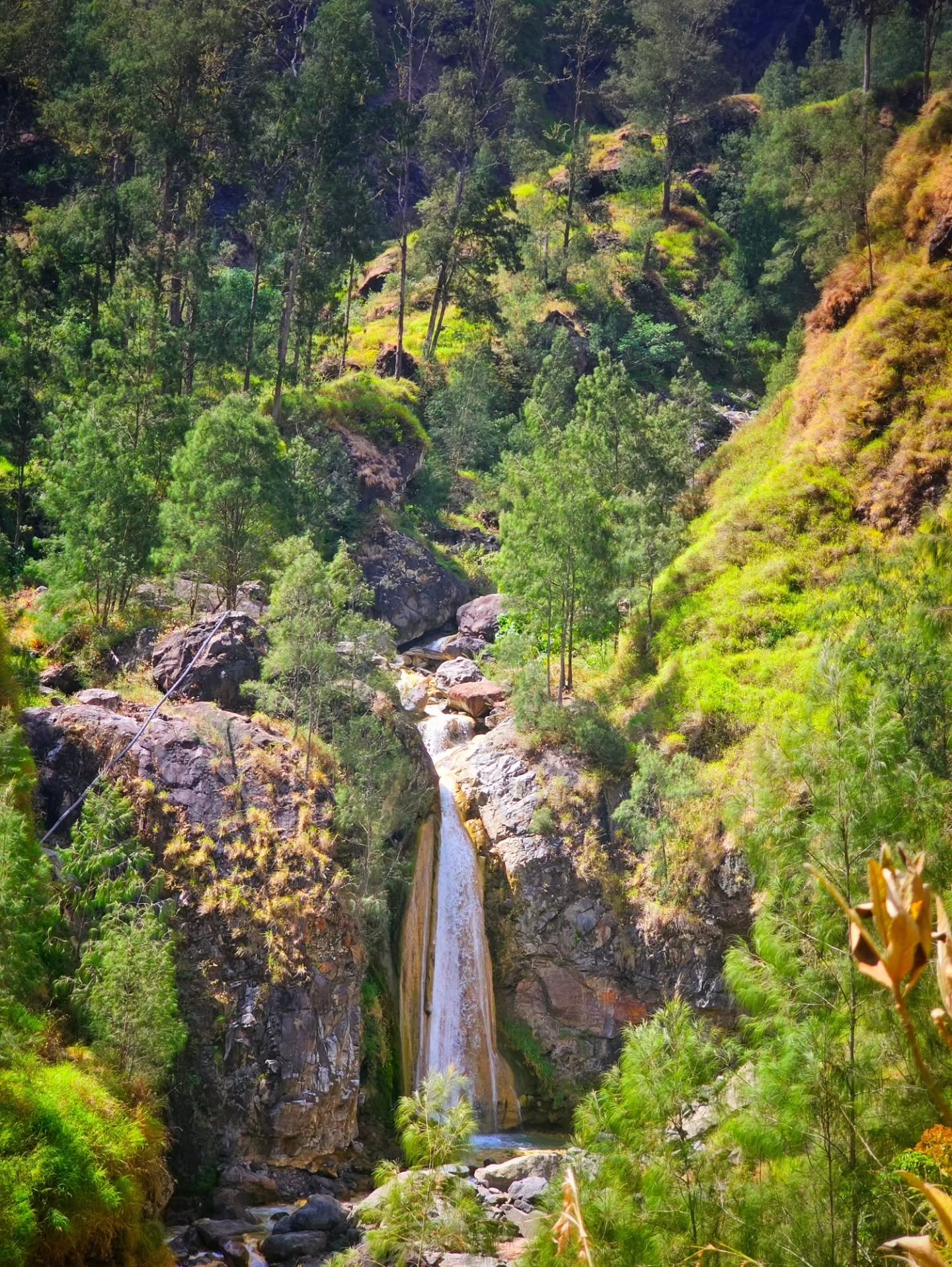 Galley Torean Trail