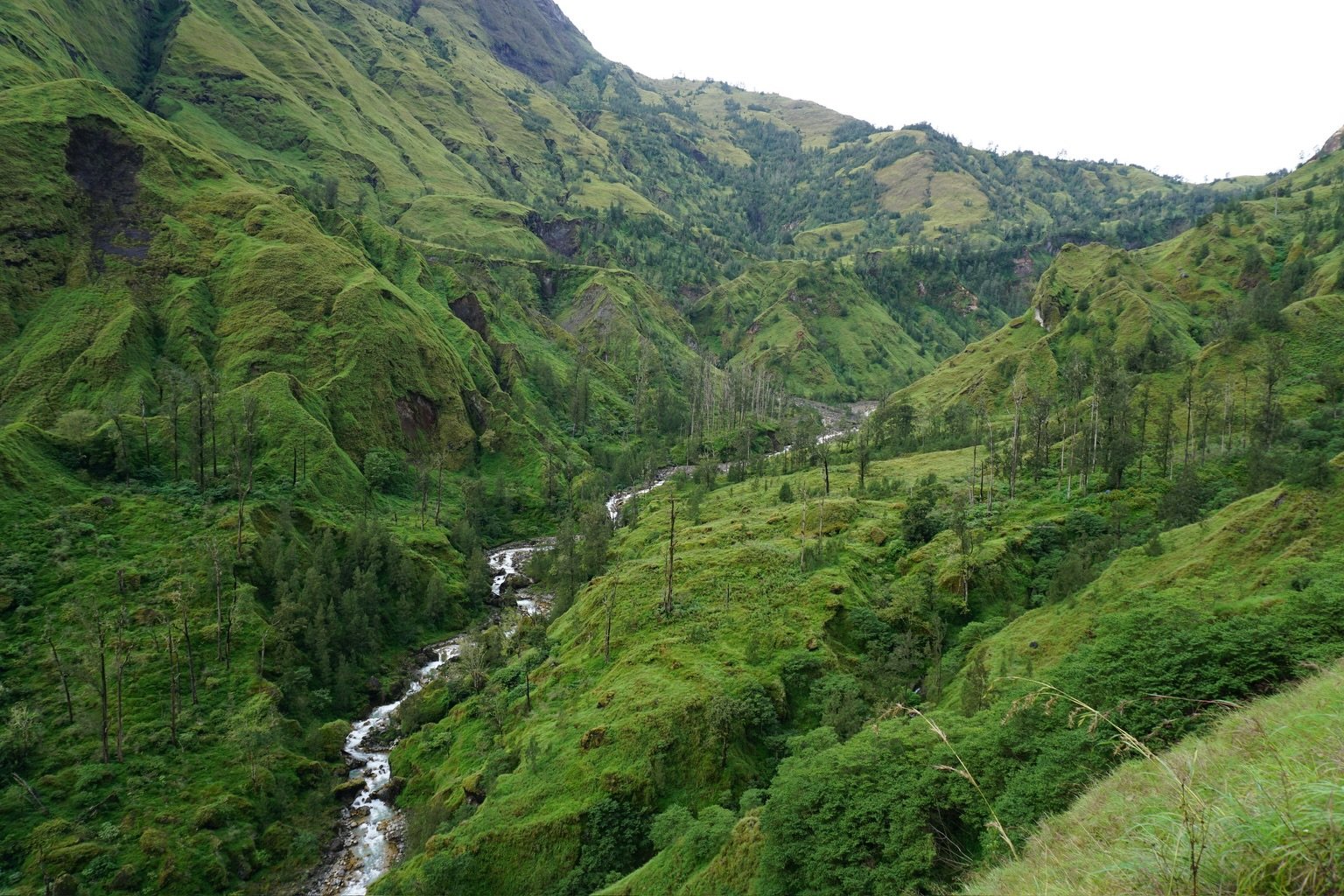 Galley Torean Trail