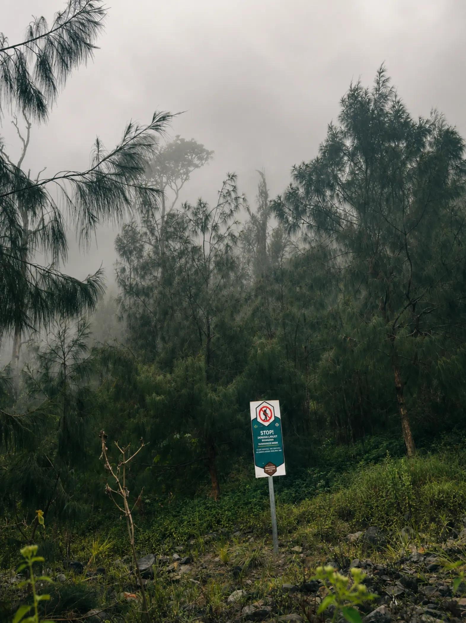 Explore pristine tropical forests