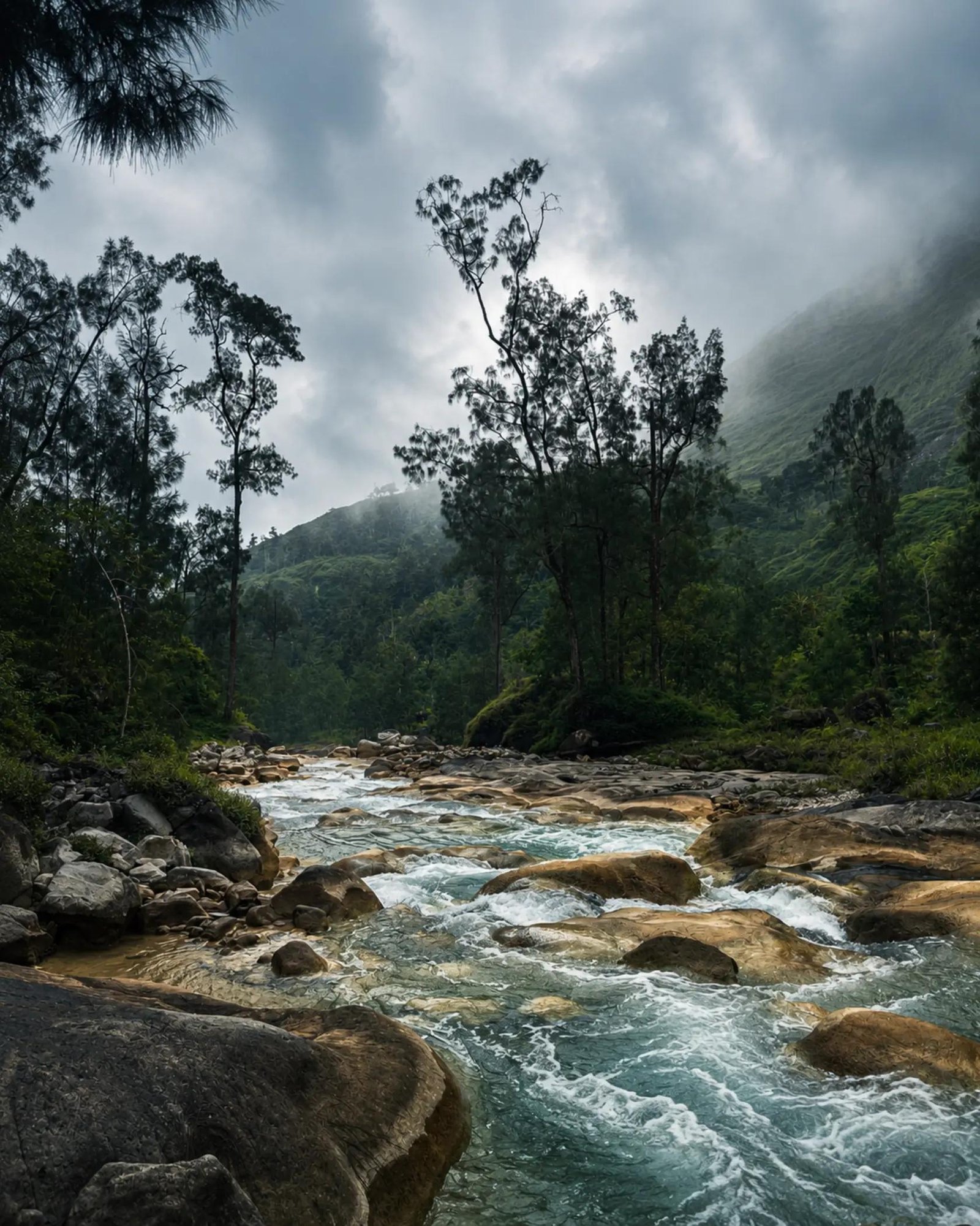 Galley Torean Trail