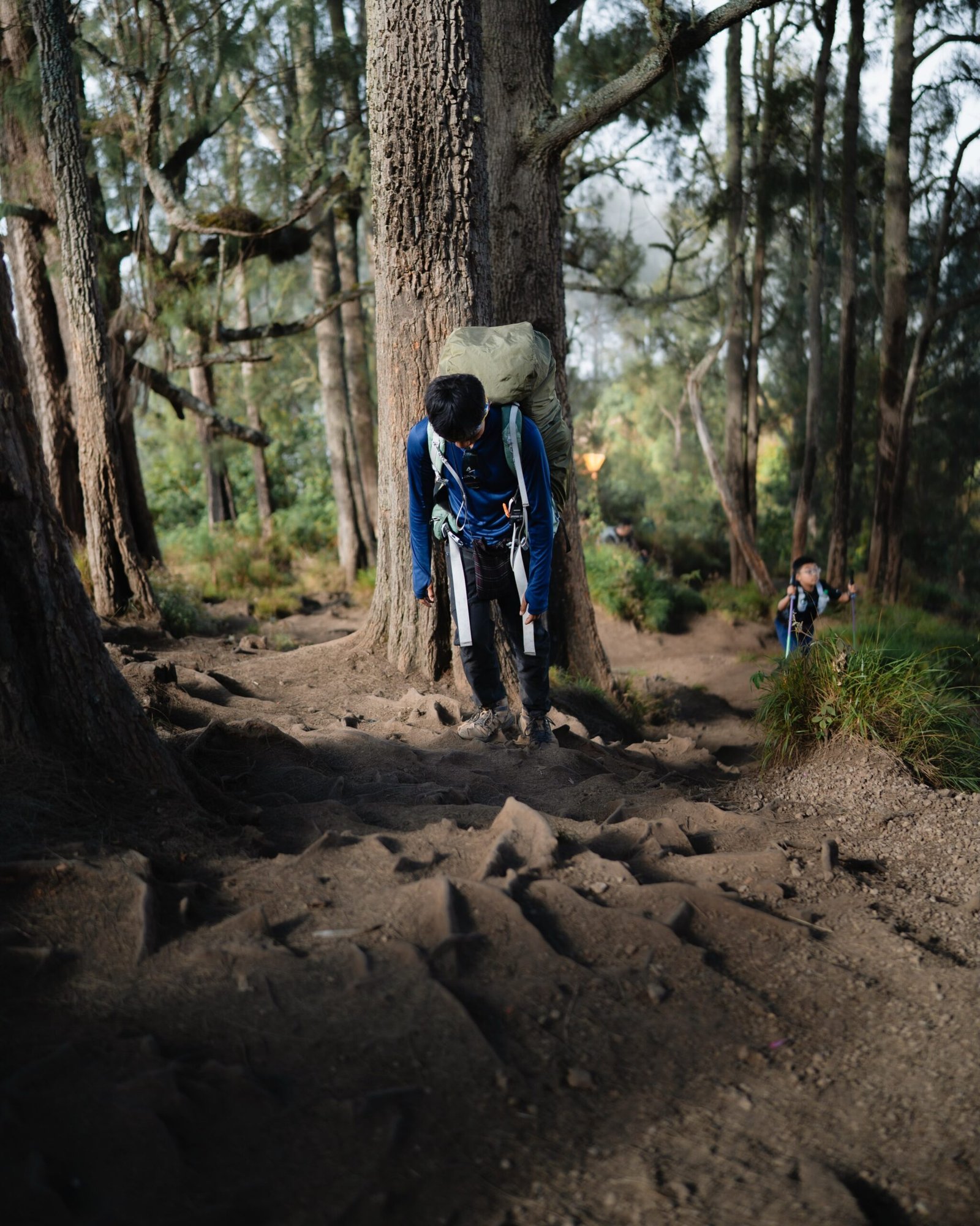 Galley Sembalun Trail