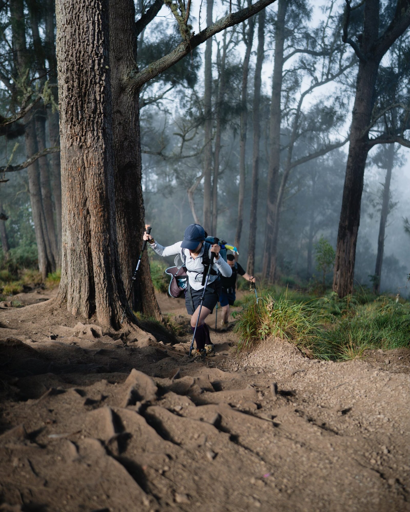 Galley Sembalun Trail